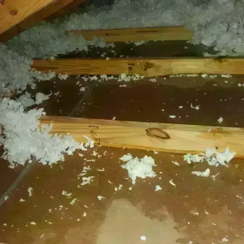 Attic Water Damage in Camp Swift, TX