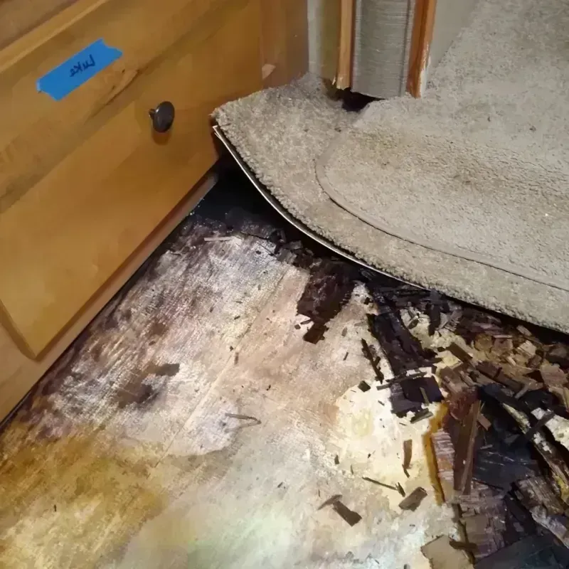 Wood Floor Water Damage in Camp Swift, TX